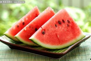 吃瓜切瓜的视频大全图片