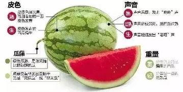 微信视频吃瓜