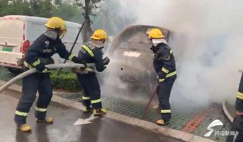 临沂临沭吃瓜事件视频最新,一场网络热议背后的真相揭秘