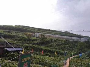 莱芜公园吃瓜事件视频,一场引发热议的公共冲突瞬间