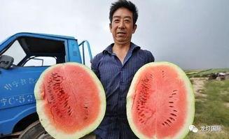 中国大神吃瓜视频,揭秘娱乐圈幕后风云