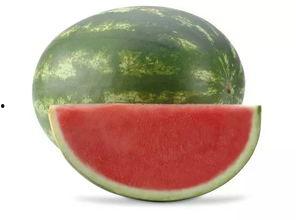 吃瓜吃坏肚子视频大全集