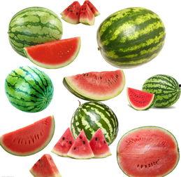 淀南吃瓜视频,揭秘幕后真相，带你领略网络热点的魅力