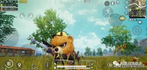 大熊的吃瓜游戏视频,趣味横生的欢乐时光回顾