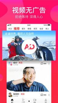 吃瓜文案配音视频下载