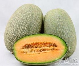 幼猫吃哈密瓜有害吗视频