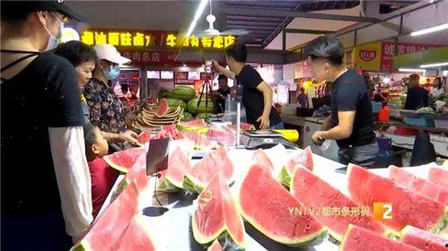 青岛摆摊小哥吃瓜视频播放,生活百态尽收眼底