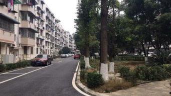 汾阳国际城小区吃瓜视频,邻里琐事引发网友热议