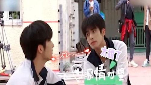 摸头吃瓜视频大全