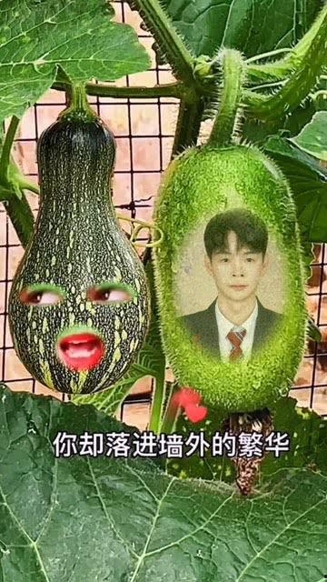 能拍的吃瓜特效视频